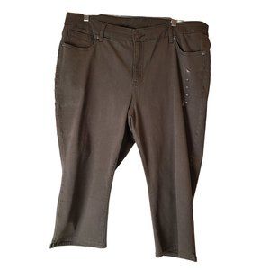 NWT Lane Bryant Brown Pedal Pants 18W